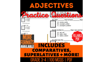 Adjectives Practice Questions - Grade 3-4 Grammar (Fillable PDF)