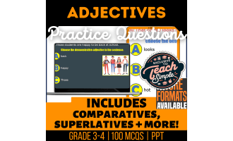 Adjectives Practice Questions - Grade 3-4 Grammar (PPT)