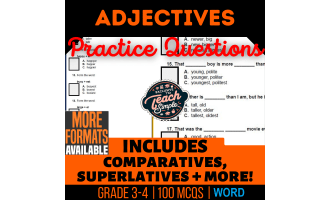 Adjectives Practice Questions - Grade 3-4 Grammar (Word)