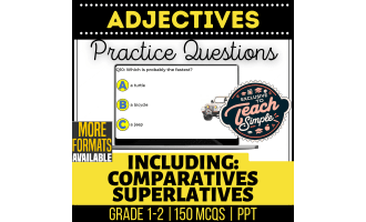 Adjectives Practice Questions - Grades 1-2 Grammar (PPT)