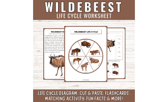 African Wildebeest Life Cycle: Grassland Animal Science Unit Study