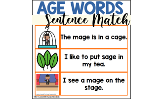 AGE Words Sentence Matching