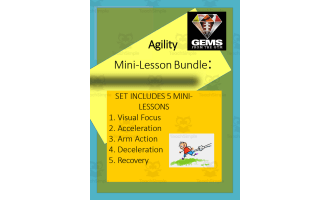 Agility Mini-Lesson Bundle