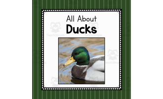 All About Ducks | Animal Study Unit | Easy Prep Duck Science Unit