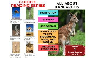 All About Kangaroos: Guided Reading Level G with Lesson Plan