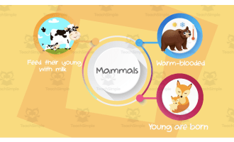 All About Mammals | Animated Animals Video Lesson
