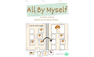 All By Myself - errorless activity with identical and non identical animals