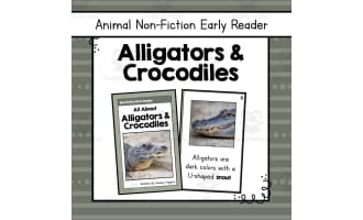 Alligators and Crocodiles Informational Book | Nonfiction Early Reader