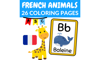 Alphabet Animals Flashcards in French