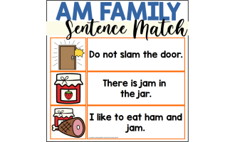 AM Word Family Sentence Matching