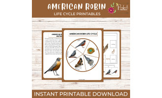 American Robin Life Cycle Worksheet- Birds Science Unit Study With Fun