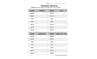 Amphibian Taxonomy Worksheet