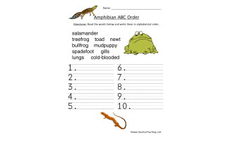 Reptiles, Amphibians, and Insects Worksheet by Teach Simple