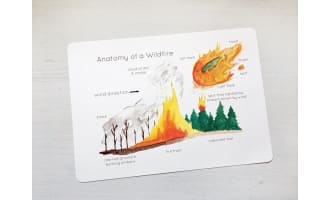 Anatomy of a Wildfire Poster | Printable Science / Geography Educational Poster
