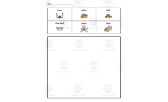 Animal Adaptation Activity