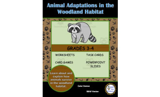 Animal Adaptations in the Woodland Habitat Activities and Worksheets