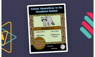 Animal Adaptations in the Woodland Habitat Activities and Worksheets