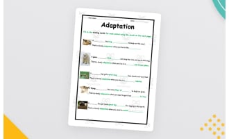Animal Adaptations Worksheet – Elementary Science