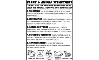 Animal Behaviors Printable