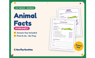 Animal Facts Worksheet – 1st Grade Animals & Essays Practice