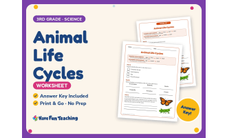 Animal Life Cycles Worksheet – 3rd Grade Animals Practice + Answer Key