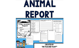 Animal Report – Biome Brainstorm Project