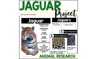 Animal Research Project: Jaguars
