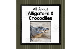 Animal Science Unit | All About Alligators and Crocodiles