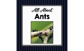 Animal Science Unit | All About Ants | Learning about Animals