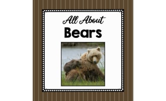 Animal Science Unit | All About Bears | Learning about Animals