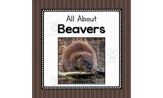 Animal Science Unit | All About Beavers | Learning about Animals
