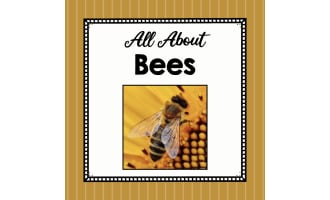 Animal Science Unit | All About Bees | Learning about Animals