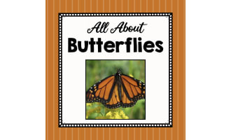 Animal Science Unit | All About Butterflies | Learning about Animals