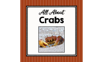 Animal Science Unit | All About Crabs | Learning about Animals