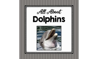 Animal Science Unit | All About Dolphins | Learning about Animals