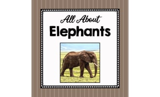 Animal Science Unit | All About Elephants | Learning about Animals