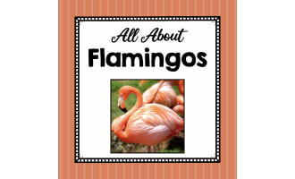 Animal Science Unit | All About Flamingos | Learning about Animals