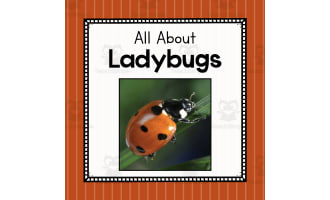 Animal Science Unit | All About Ladybugs | Learning about Animals