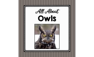 Animal Science Unit | All About Owls | Learning about Animals
