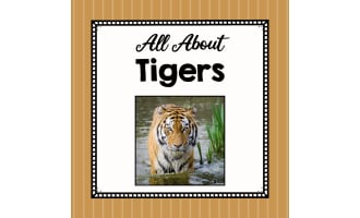 Animal Science Unit | All About Tigers | Learning about Animals