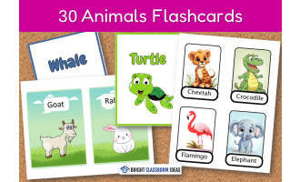 Animal Vocabulary Flashcards – Farm, Sea, and Zoo Animals