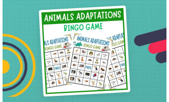 Animals Adaptations Bingo Nature Ecosystems Life Science Vocabulary