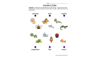 Animals Matching Classification Worksheet