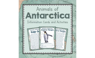 Animals of Antartica |  Antartica Unit Study | Geography Bundles