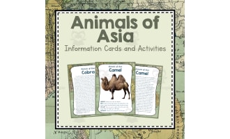 Animals of Asia | Asia Unit Study | Geography Bundle
