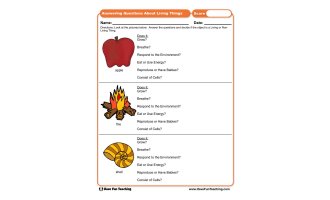 Answering Questions About Living Things Worksheet