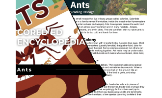Ants Reading Comprehension Passage - Cored Ed Encyclopedia