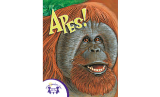 Apes eBook - Know-It-Alls!