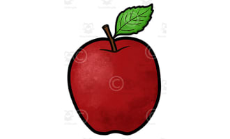 Apple red Clipart- Back to school clip art-Graphics Illustration & Black white version