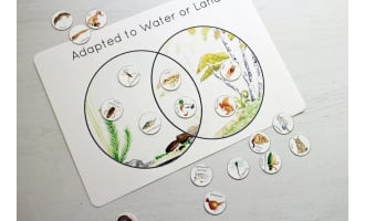 Aquatic Adaptations Nature Study Poster